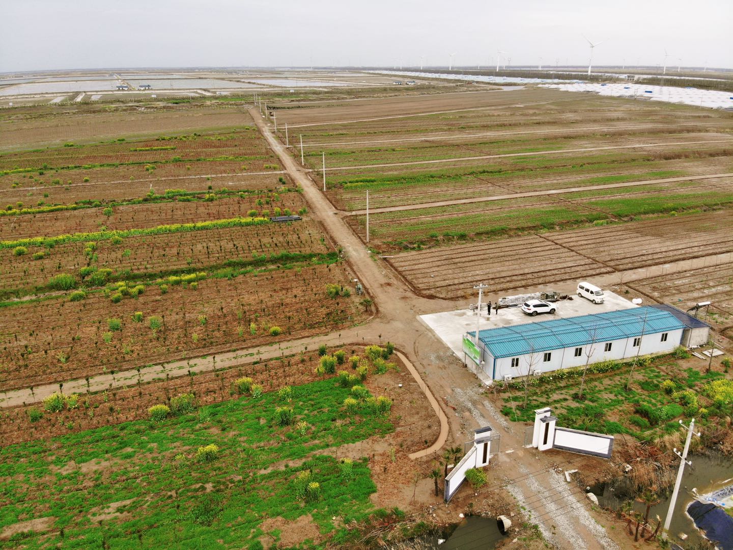 江蘇永威東臺鹽堿地適生植物儲備基地春日煥發(fā)生機